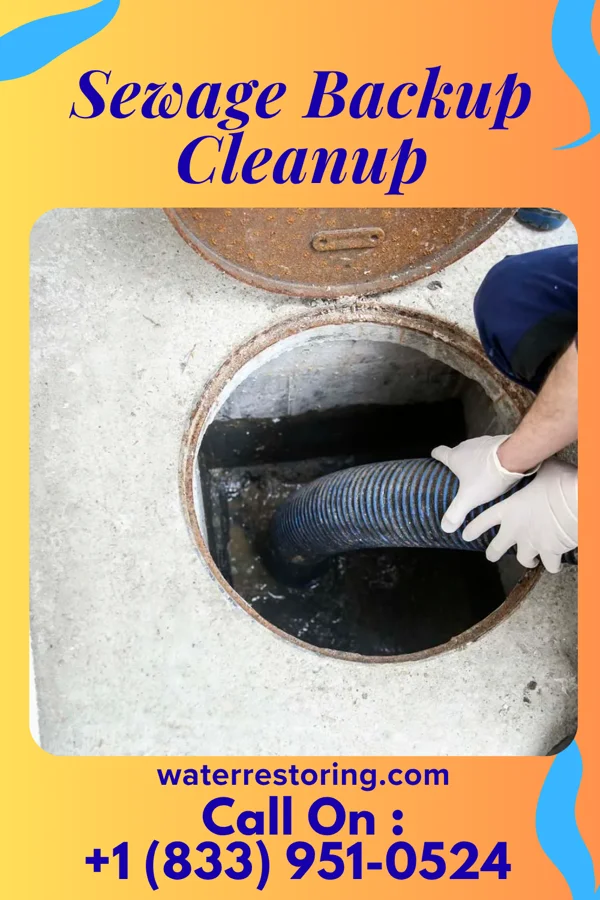 Sewage Backup Cleanup in Union, MS